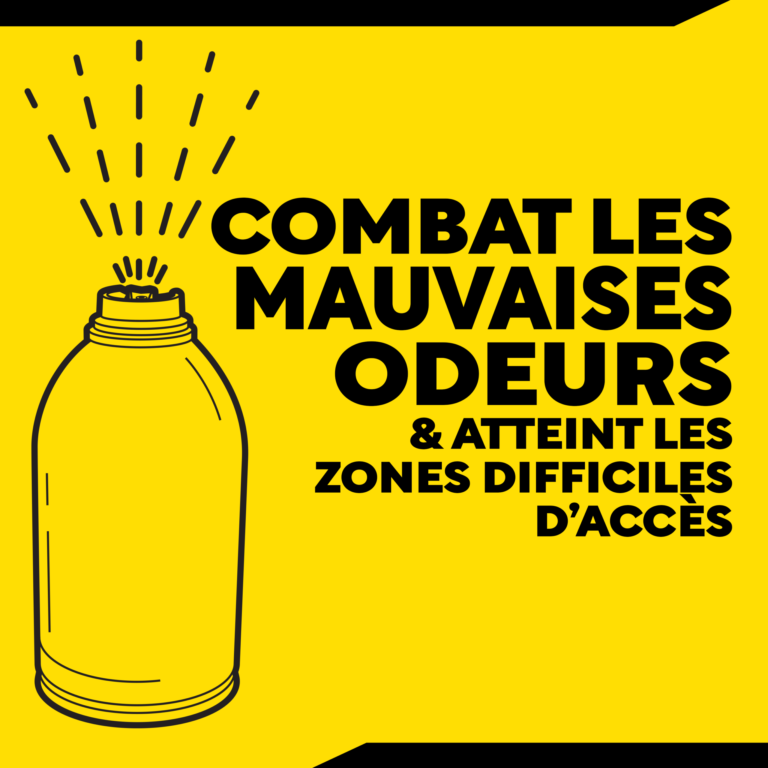 Désodorisant automobile – Aérosol senteur « Fôret Tropicale » G262602