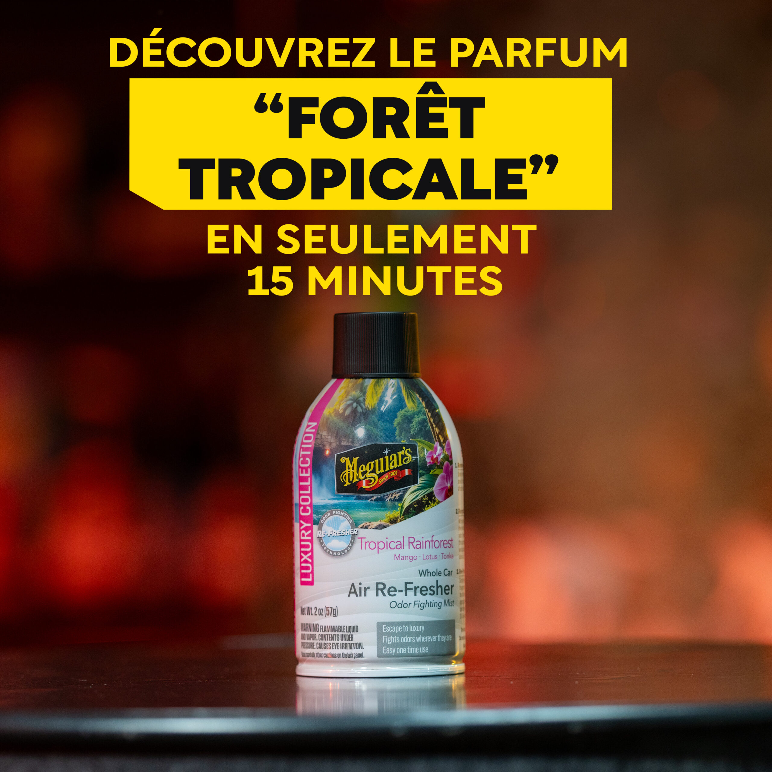 Désodorisant automobile – Aérosol senteur « Fôret Tropicale » G262602