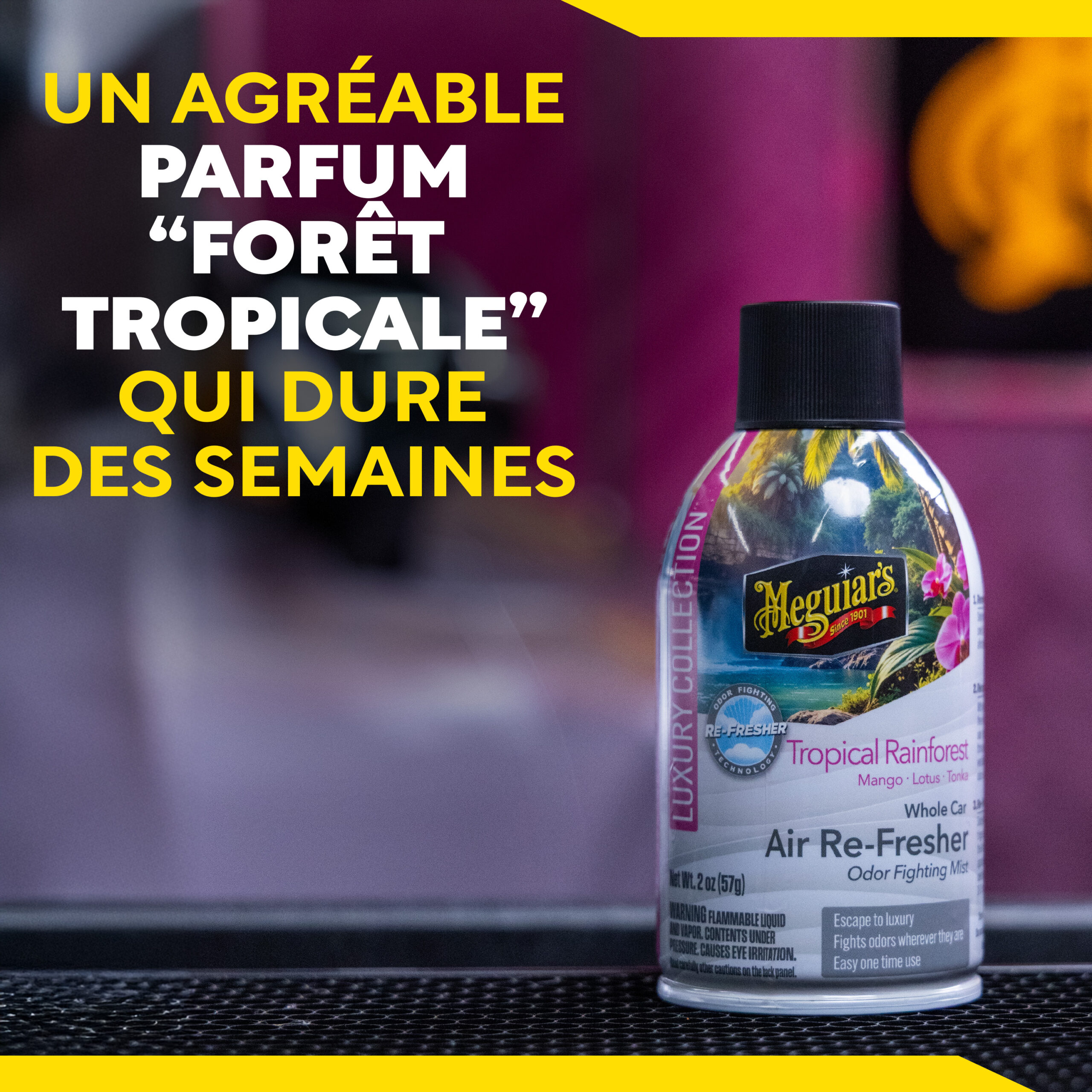 Désodorisant automobile – Aérosol senteur « Fôret Tropicale » G262602